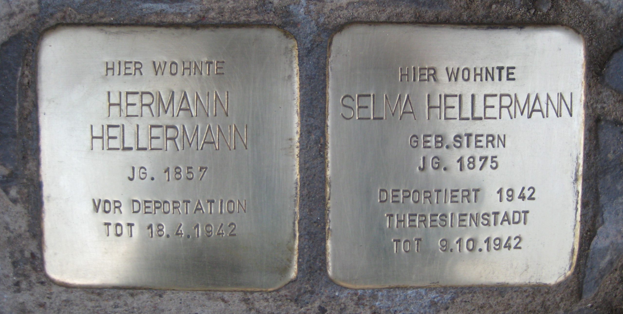 Stolpersteine-Hellermann-Breitscheid-Halle
