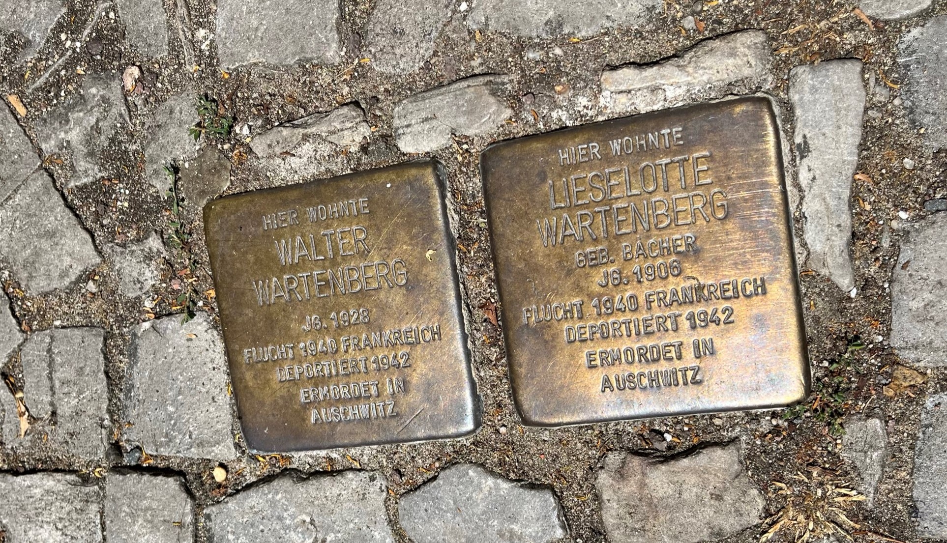 Stolpersteine-Wartenberg-Schleiermacher-Halle