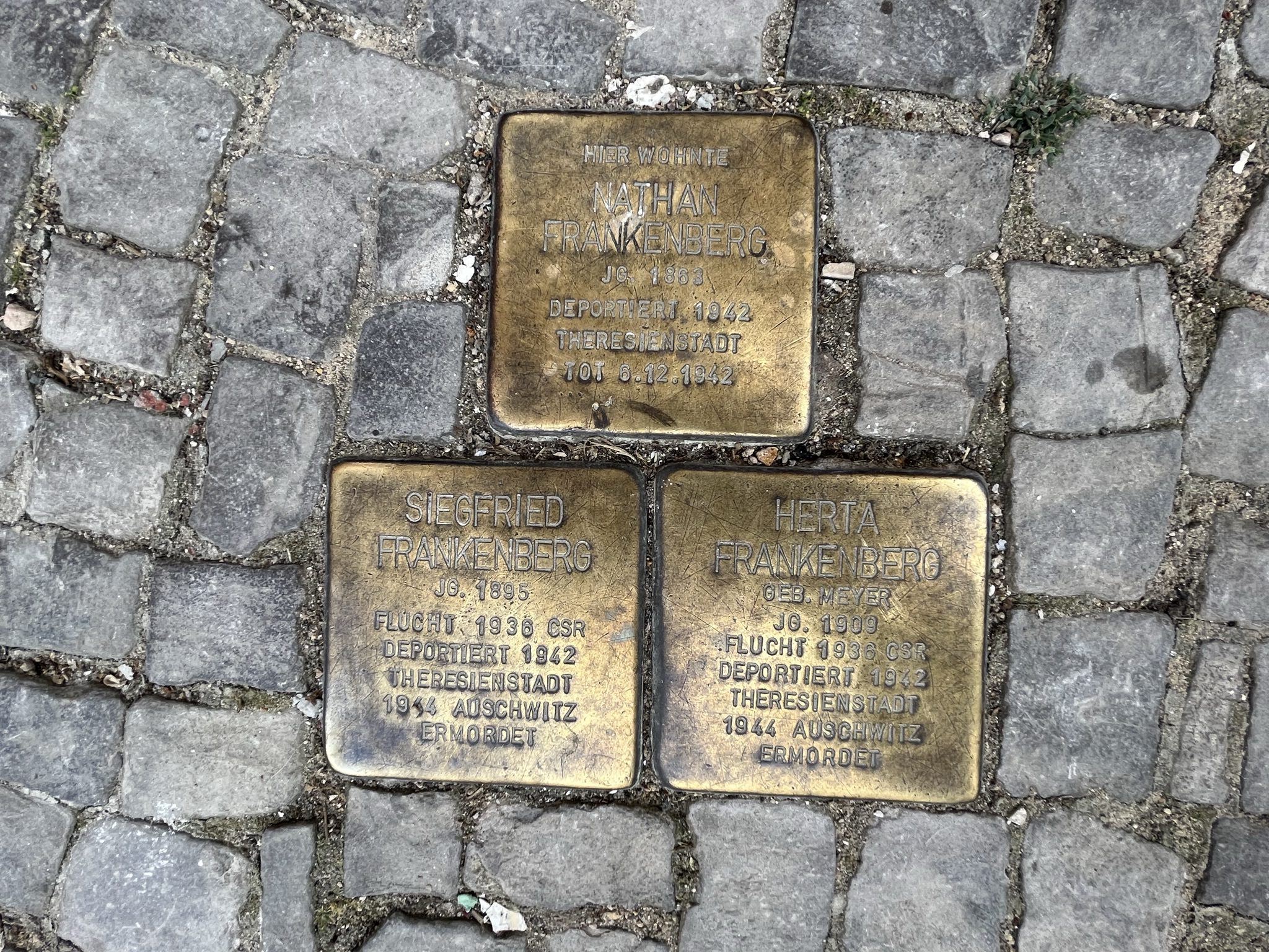 Stolpersteine-Cohn-Feuerbachstrasse-74