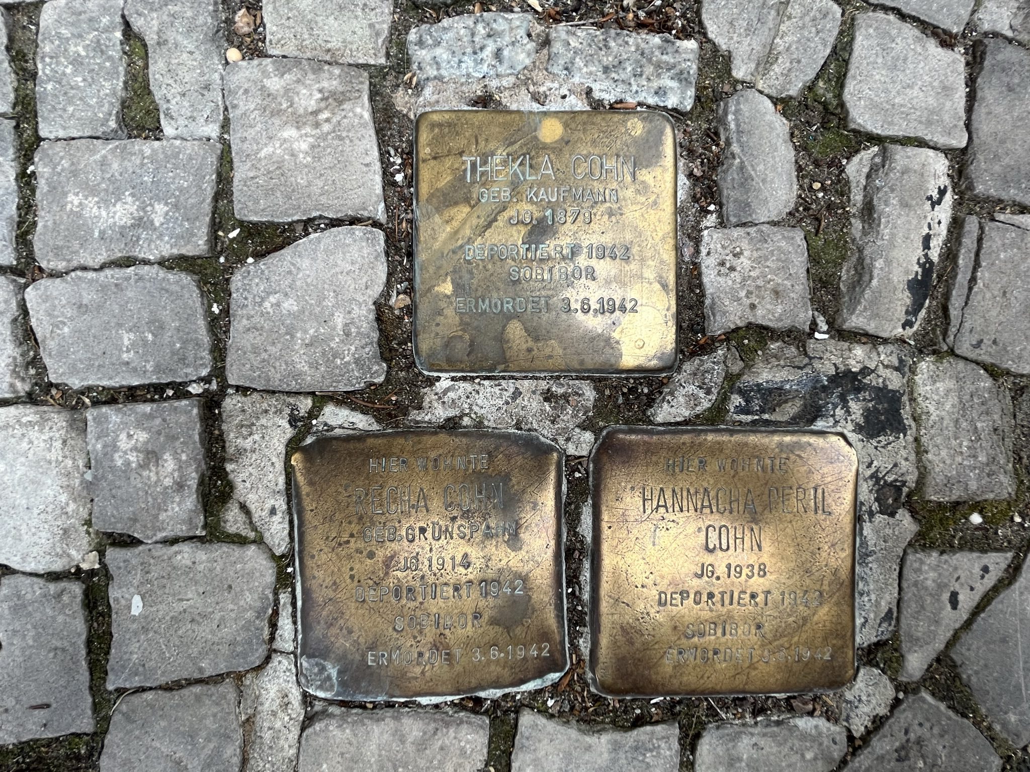 Stolpersteine-Cohn-Feuerbachstrasse-75