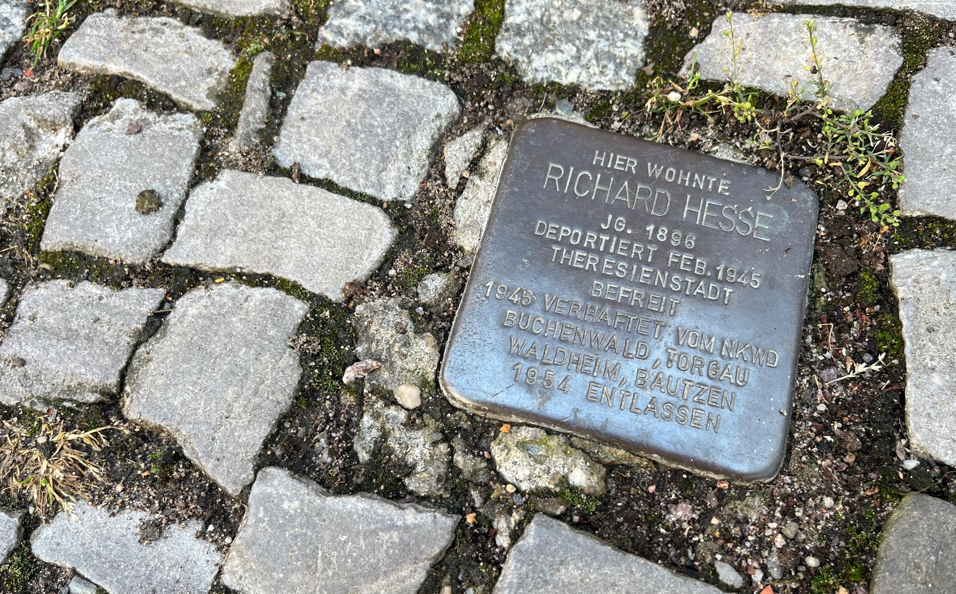 2022_Lafontainestr_10_Stolperstein