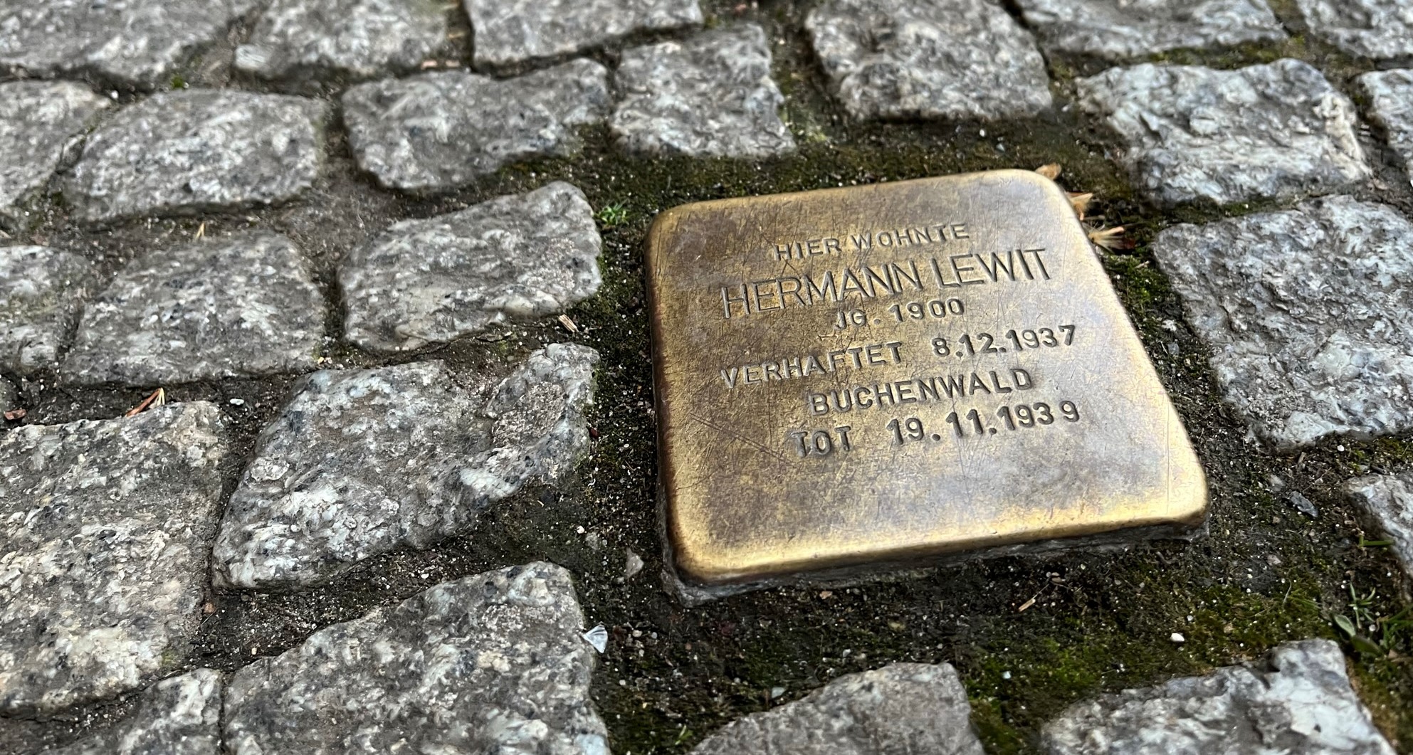 Ludwig-Wucherer-Straße 11, Stolperstein Hermann Lewit