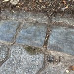 Stolpersteine_Krausenstrasse_Halle