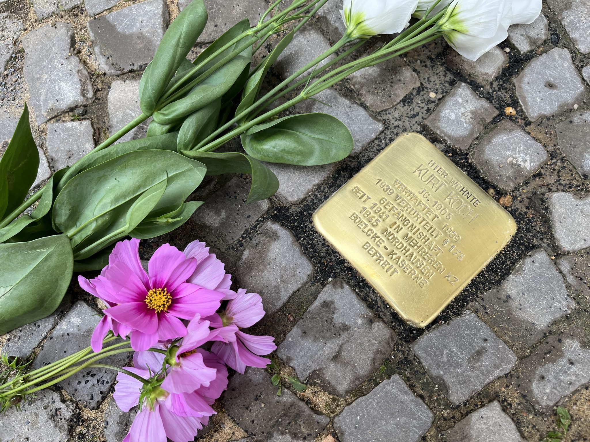 Stolperstein Kurt Koch