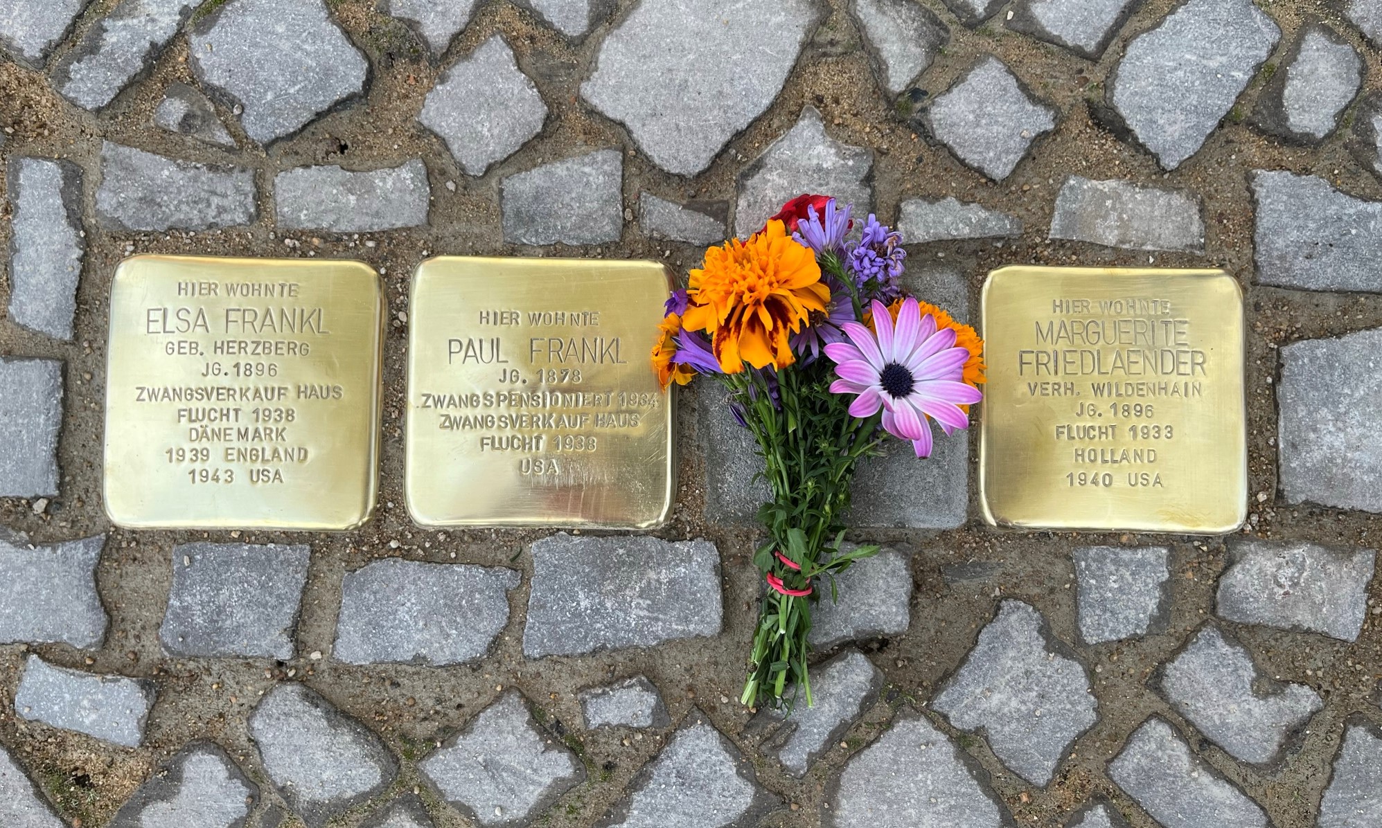 Stolpersteine_Frankl_Friedlaender_Halle